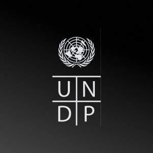 UNDP