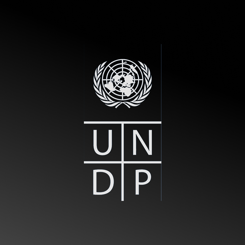 UNDP